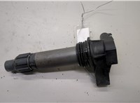 12632479 Катушка зажигания Buick Enclave 2007-2013 20563052 #1