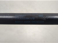 5NA823359A Амортизатор капота Volkswagen Tiguan 2016-2020 20563064 #2