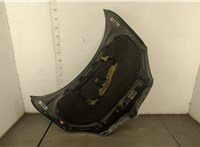  Капот Skoda Roomster 2006-2015 20564056 #8