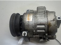  Компрессор кондиционера Volkswagen Passat 5 1996-2000 20564482 #1