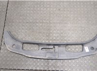 97050481100 Накладка замка капота Porsche Panamera 2009-2016 20563690 #1