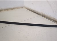  Молдинг стекла (лобовое) Honda Odyssey 2004-2008 20564851 #1