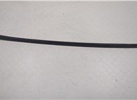 51317250395 Молдинг стекла (лобовое) BMW X5 E70 2006-2013 20565230 #1