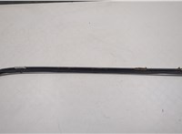 51317250395 Молдинг стекла (лобовое) BMW X5 E70 2006-2013 20565230 #2