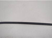 51317250396 Молдинг стекла (лобовое) BMW X5 E70 2006-2013 20565237 #2