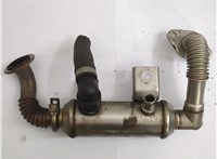  Охладитель отработанных газов Ford Transit (Tourneo) Connect 2002-2013 20565323 #1