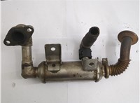  Охладитель отработанных газов Ford Transit (Tourneo) Connect 2002-2013 20565323 #2