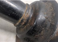  Амортизатор подвески Honda Element 2002-2011 20565324 #3