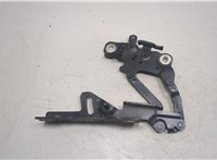  Петля капота BMW 4 F32 2013-2021 20565455 #1