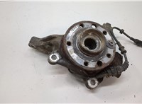 1603143, 24413034, 5308017 Ступица (кулак, цапфа) Opel Vectra C 2002-2008 20565469 #1