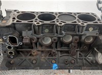  Блок цилиндров (Шорт блок) Ford Expedition 2002-2006 20565573 #8