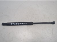 7008745 Амортизатор капота BMW 5 E60 2003-2010 20565744 #1