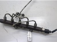  Рампа (рейка) топливная Ford Transit 2006-2014 20565786 #1