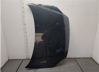 664000Z000 Капот KIA Sportage 2004-2010 20565967 #1