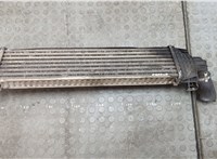 1353523, 3M5H9L440AE Радиатор интеркулера Ford C-Max 2002-2010 20566067 #2