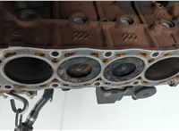 1838470 Блок цилиндров (Шорт блок) Ford S-Max 2010-2015 20566134 #13