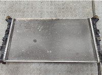  Радиатор охлаждения двигателя Ford Focus 2 2005-2008 20566141 #3