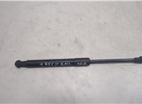 7008745 Амортизатор капота BMW 5 E60 2003-2010 20566335 #1