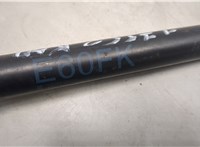 7008745 Амортизатор капота BMW 5 E60 2003-2010 20566335 #3