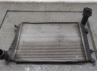  Радиатор интеркулера Skoda SuperB 2008-2015 20566650 #1