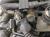 Компрессор кондиционера Audi A6 (C5) Allroad 2000-2006 11483902 #3