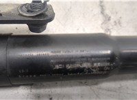 905603JA0A Амортизатор крышки багажника Infiniti JX 2012-2014 20567064 #5