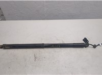 905603JA0A Амортизатор крышки багажника Infiniti JX 2012-2014 20567073 #1