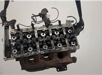 11127810463, 7810463 Головка блока (ГБЦ) BMW X1 (E84) 2009-2015 20567574 #1