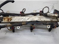 4861667AA, 4861666AA Форсунка топливная Chrysler Town-Country 2007-2010 20568044 #3