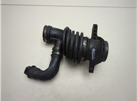 31251735, 31370109 Измеритель потока воздуха (расходомер) Volvo V50 2004-2012 20568551 #1