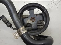  Насос гидроусилителя руля (ГУР) Ford Transit (Tourneo) Connect 2002-2013 20568793 #1