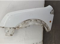  Крыло Ford Transit (Tourneo) Connect 2002-2013 20568803 #1
