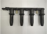  Катушка зажигания Opel Zafira B 2005-2014 20569174 #2