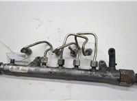  Рампа (рейка) топливная Volkswagen Golf 6 2009-2012 20569288 #1