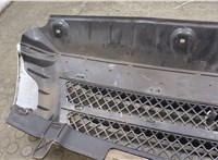 38028010105 Решетка радиатора Iveco Daily 4 2005-2011 20569507 #6