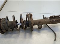  Амортизатор подвески Toyota Corolla E12 2001-2006 20569846 #1