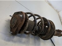  Амортизатор подвески Toyota Corolla E12 2001-2006 20569846 #2