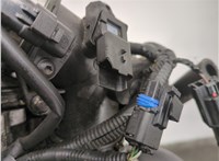  Форсунка топливная Ford Focus 2 2008-2011 11485645 #13