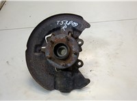  Ступица (кулак, цапфа) Ford Kuga 2008-2012 20570609 #1