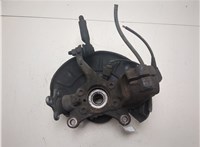 5K0498621, 1K0407255AA, 1K0615311F Ступица (кулак, цапфа) Audi Q3 2011-2018 20570762 #3