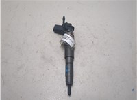 13537808089, 0445115070 Форсунка топливная BMW X5 E70 2006-2013 20569987 #9