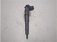 13537808089, 0445115070 Форсунка топливная BMW X5 E70 2006-2013 20569987 #10
