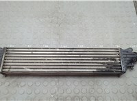 1302311, 13472371, 13440202 Радиатор интеркулера Opel Corsa E 2014-2019 20572761 #1