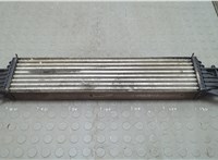 1302311, 13472371, 13440202 Радиатор интеркулера Opel Corsa E 2014-2019 20572761 #2