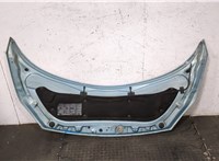 651001097R Капот Renault Scenic 2003-2009 20573922 #10