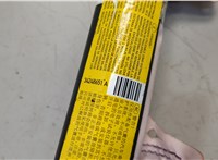  Подушка безопасности боковая (шторка) Ford EcoSport 2017-2023 20574187 #2