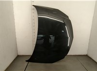 1160045, 20970122 Капот Opel Insignia 2008-2017 20575257 #1