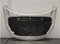 1160045, 39059617, 20970122 Капот Opel Insignia 2008-2017 20575580 #4