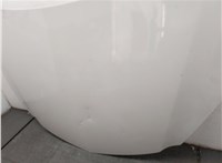1160045, 39059617, 20970122 Капот Opel Insignia 2008-2017 20575580 #11