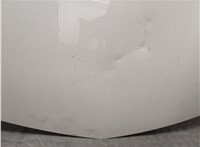 1160045, 39059617, 20970122 Капот Opel Insignia 2008-2017 20575580 #12